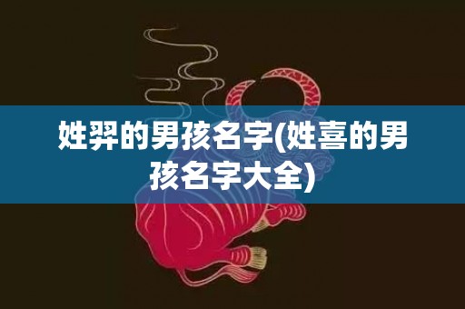 姓羿的男孩名字(姓喜的男孩名字大全)