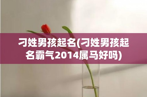 刁姓男孩起名(刁姓男孩起名霸气2014属马好吗)