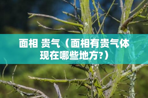 面相 贵气（面相有贵气体现在哪些地方?）