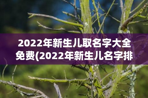 2022年新生儿取名字大全免费(2022年新生儿名字排行榜)