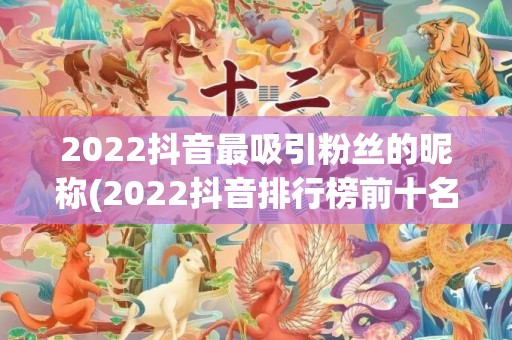 2022抖音最吸引粉丝的昵称(2022抖音排行榜前十名)