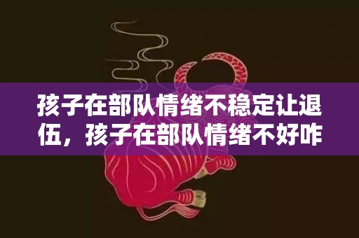 孩子在部队情绪不稳定让退伍，孩子在部队情绪不好咋办呀