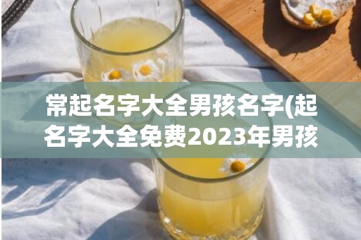 常起名字大全男孩名字(起名字大全免费2023年男孩)