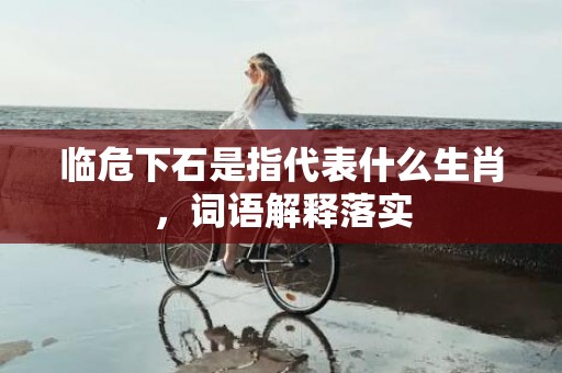 临危下石是指代表什么生肖，词语解释落实