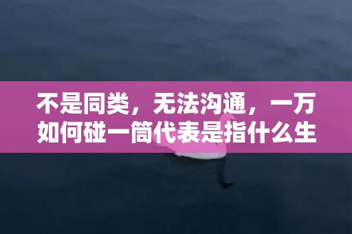 不是同类，无法沟通，一万如何碰一筒代表是指什么生肖，精准词意落实