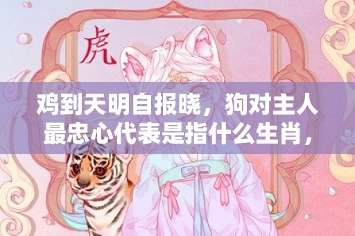 鸡到天明自报晓，狗对主人最忠心代表是指什么生肖，精准词语落实