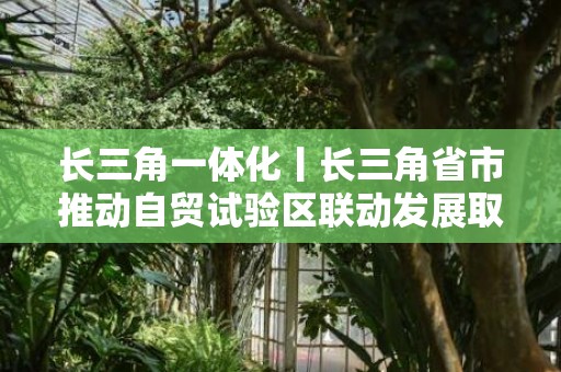 长三角一体化丨长三角省市推动自贸试验区联动发展取得新成效