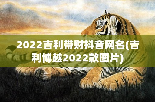 2022吉利带财抖音网名(吉利博越2022款图片)