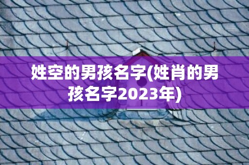 姓空的男孩名字(姓肖的男孩名字2023年)