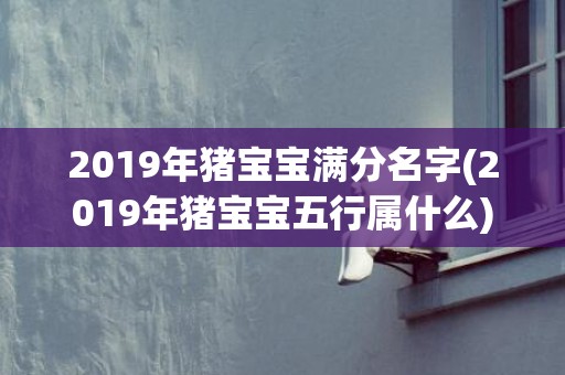 2019年猪宝宝满分名字(2019年猪宝宝五行属什么)