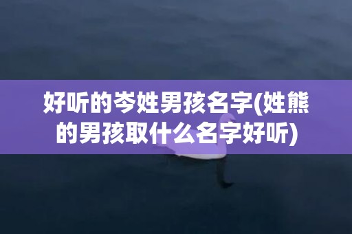 好听的岑姓男孩名字(姓熊的男孩取什么名字好听)