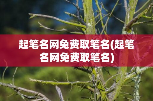 起笔名网免费取笔名(起笔名网免费取笔名)