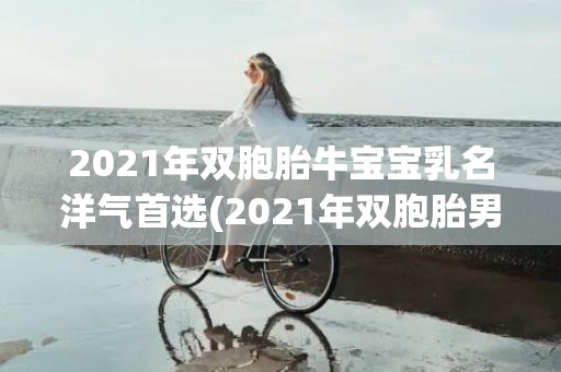 2021年双胞胎牛宝宝乳名洋气首选(2021年双胞胎男孩名字大全)