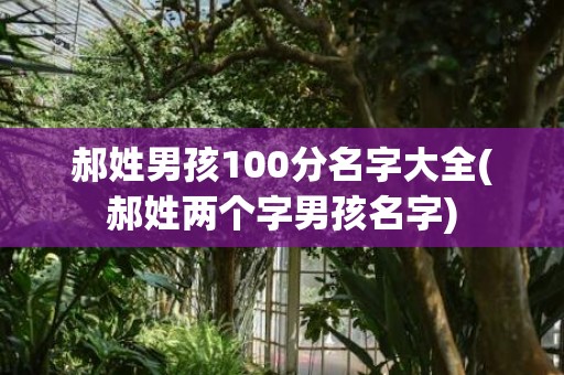 郝姓男孩100分名字大全(郝姓两个字男孩名字)