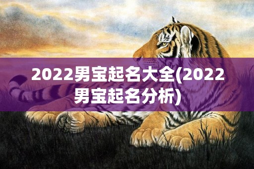 2022男宝起名大全(2022男宝起名分析)