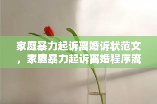 家庭暴力起诉离婚诉状范文，家庭暴力起诉离婚程序流程