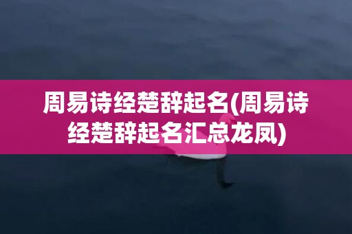 周易诗经楚辞起名(周易诗经楚辞起名汇总龙凤)