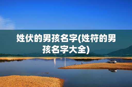 姓伏的男孩名字(姓符的男孩名字大全)