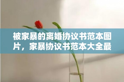 被家暴的离婚协议书范本图片，家暴协议书范本大全最新