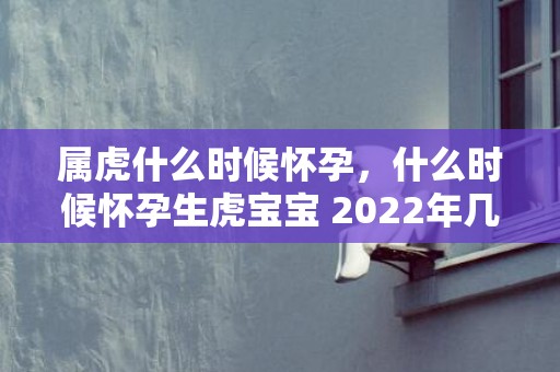 属虎什么时候怀孕，什么时候怀孕生虎宝宝 2022年几月备孕好