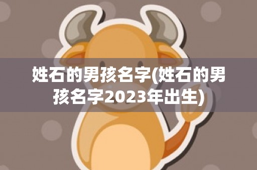 姓石的男孩名字(姓石的男孩名字2023年出生)