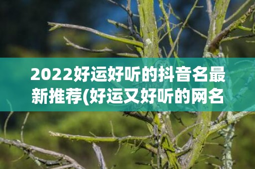 2022好运好听的抖音名最新推荐(好运又好听的网名)