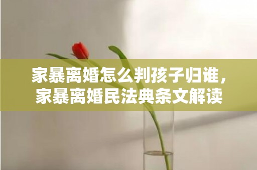 家暴离婚怎么判孩子归谁，家暴离婚民法典条文解读