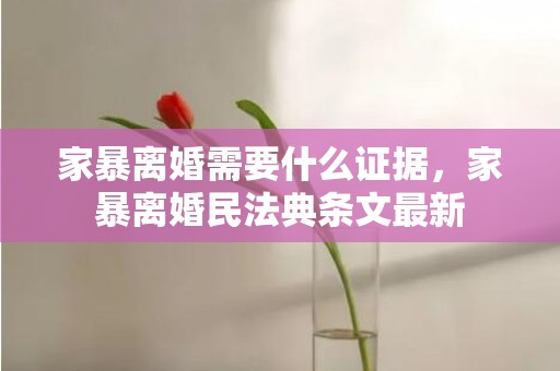 家暴离婚需要什么证据，家暴离婚民法典条文最新