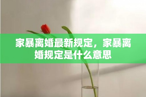 家暴离婚最新规定，家暴离婚规定是什么意思