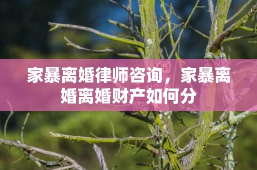 家暴离婚律师咨询，家暴离婚离婚财产如何分