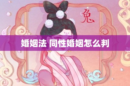 婚姻法 同性婚姻怎么判