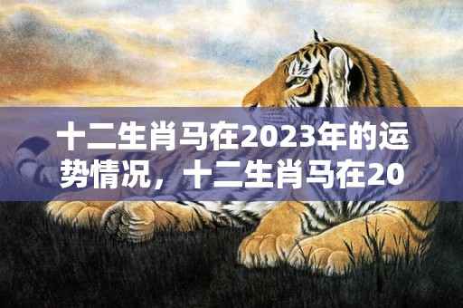 十二生肖马在2023年的运势情况，十二生肖马在2021年 整体运势如何