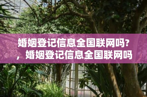 婚姻登记信息全国联网吗?，婚姻登记信息全国联网吗