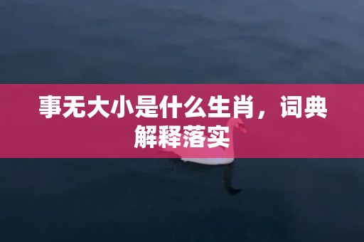 事无大小是什么生肖，词典解释落实