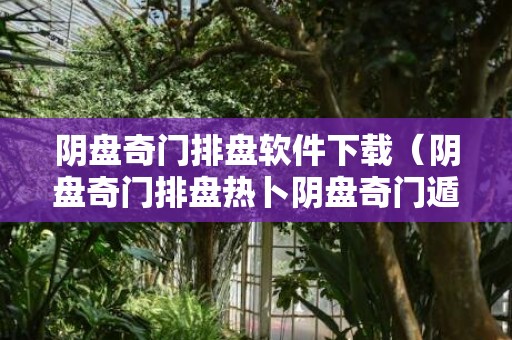 阴盘奇门排盘软件下载（阴盘奇门排盘热卜阴盘奇门遁甲排盘软件）