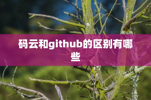 码云和github的区别有哪些