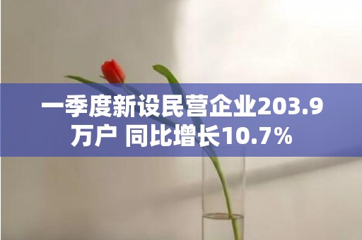 一季度新设民营企业203.9万户 同比增长10.7%