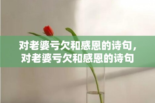 对老婆亏欠和感恩的诗句，对老婆亏欠和感恩的诗句