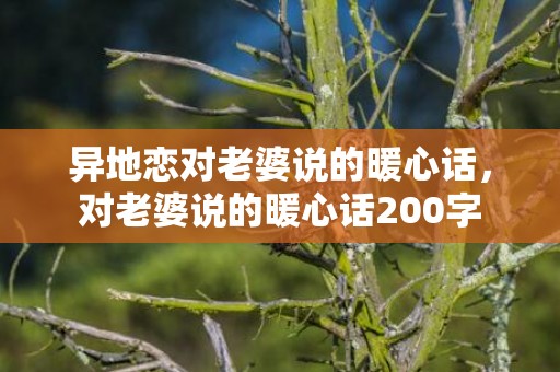 异地恋对老婆说的暖心话，对老婆说的暖心话200字