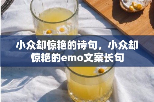 小众却惊艳的诗句，小众却惊艳的emo文案长句