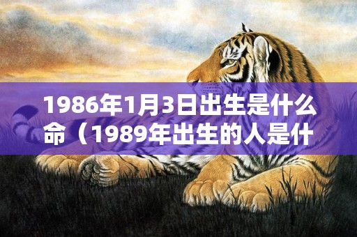 1986年1月3日出生是什么命（1989年出生的人是什么命）