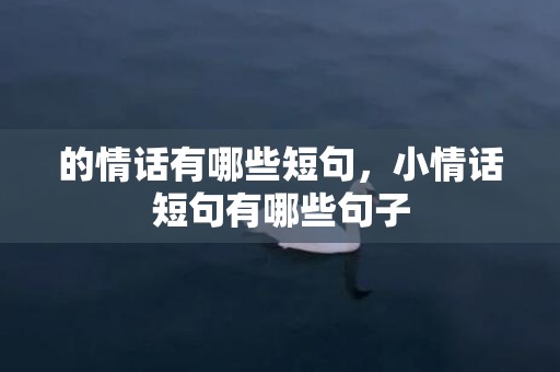 的情话有哪些短句，小情话短句有哪些句子