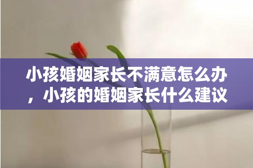 小孩婚姻家长不满意怎么办，小孩的婚姻家长什么建议