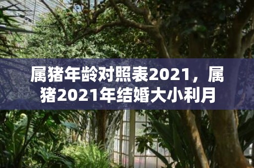 属猪年龄对照表2021，属猪2021年结婚大小利月