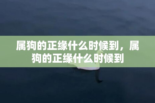 属狗的正缘什么时候到，属狗的正缘什么时候到