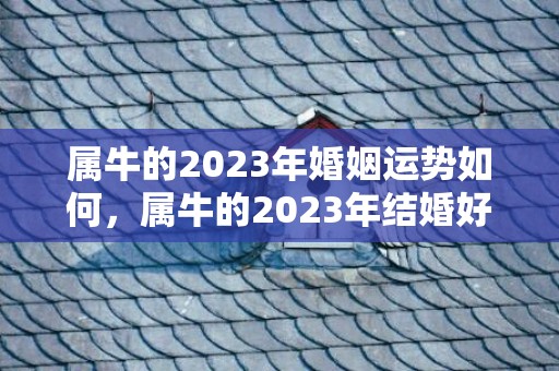 属牛的2023年婚姻运势如何，属牛的2023年结婚好不好