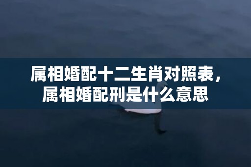 属相婚配十二生肖对照表，属相婚配刑是什么意思