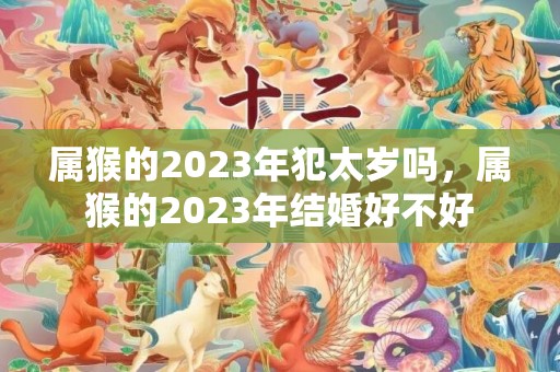 属猴的2023年犯太岁吗，属猴的2023年结婚好不好