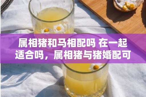 属相猪和马相配吗 在一起适合吗，属相猪与猪婚配可以吗