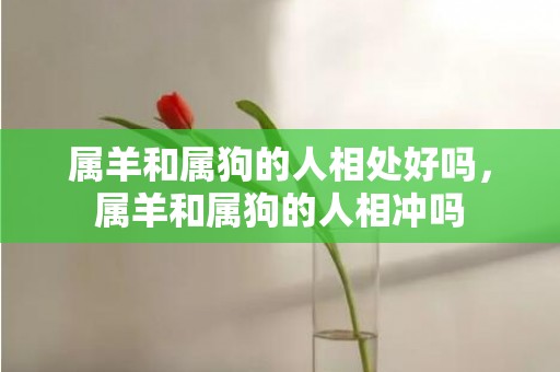 属羊和属狗的人相处好吗，属羊和属狗的人相冲吗